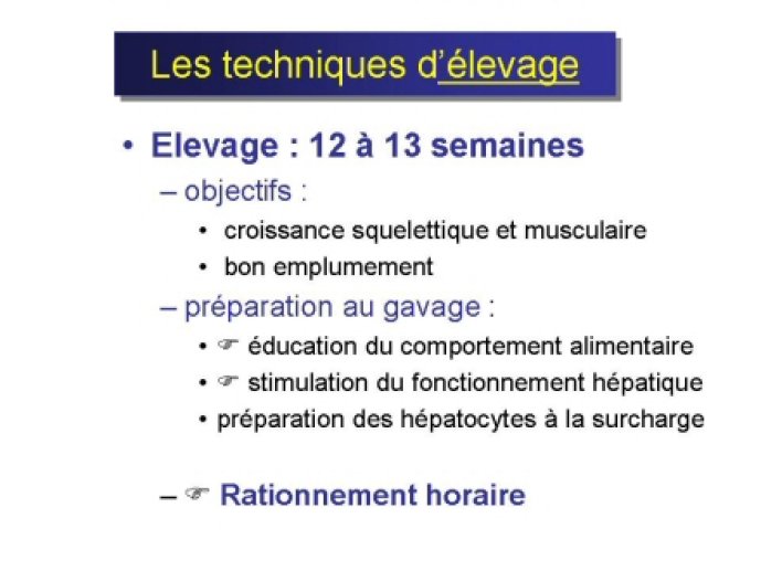 Barbeyrac28