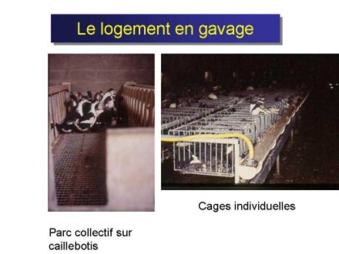 Barbeyrac31
