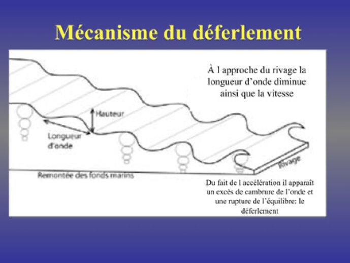 LeHuec08