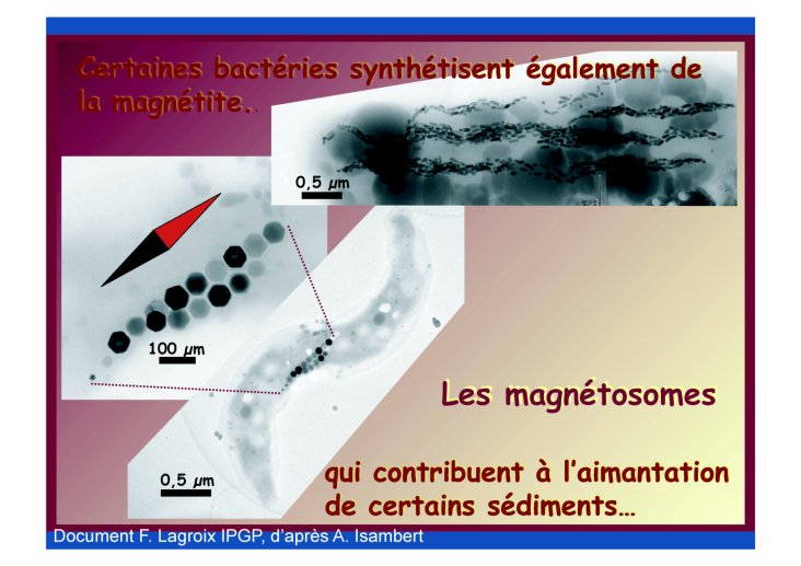 Jean%20Besse11%2001%2009_16