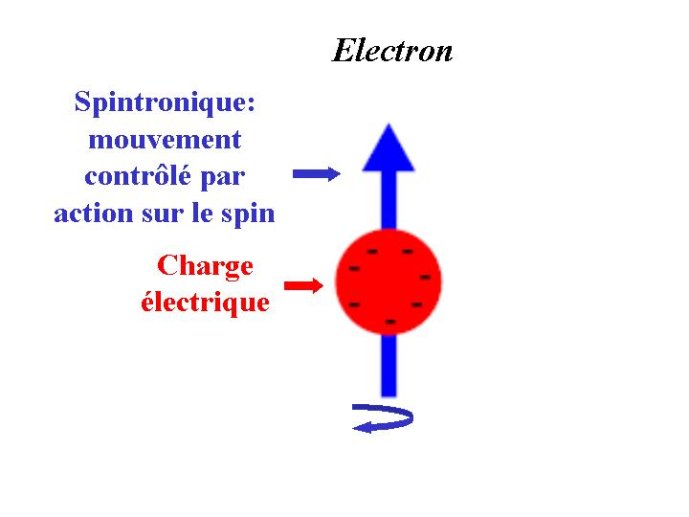 Diapositive11