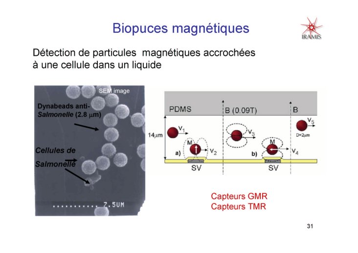 Les%20capteurs%20magnetiques_31