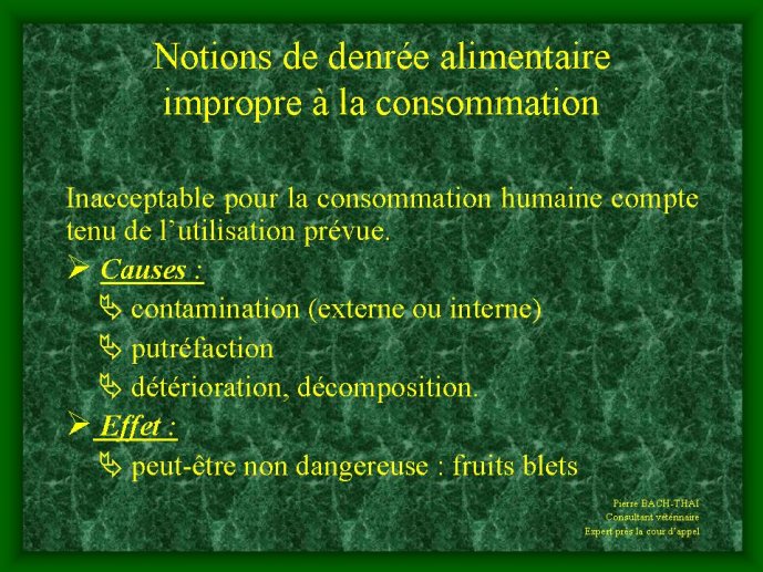 diapositive17