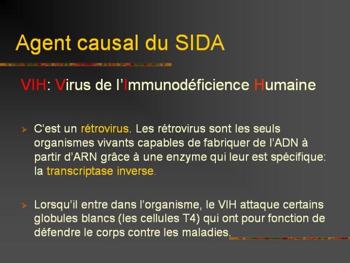 Diapositive13