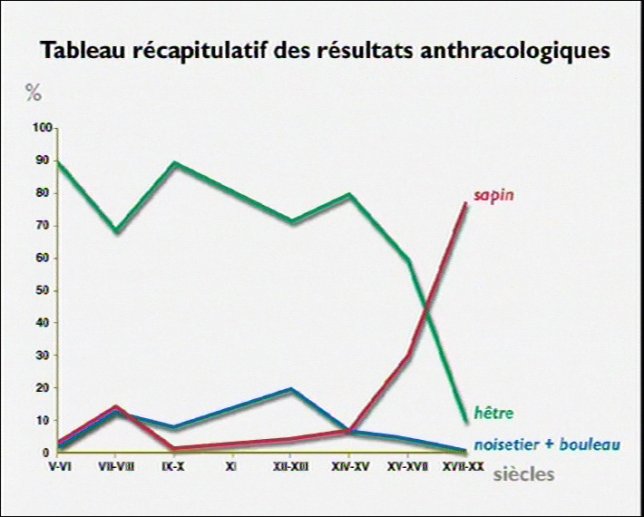 Résultats anthracologiques