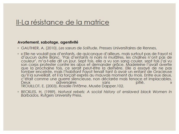 dOrlando-critiques feministes-08.JPG