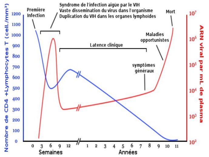 Diapositive10