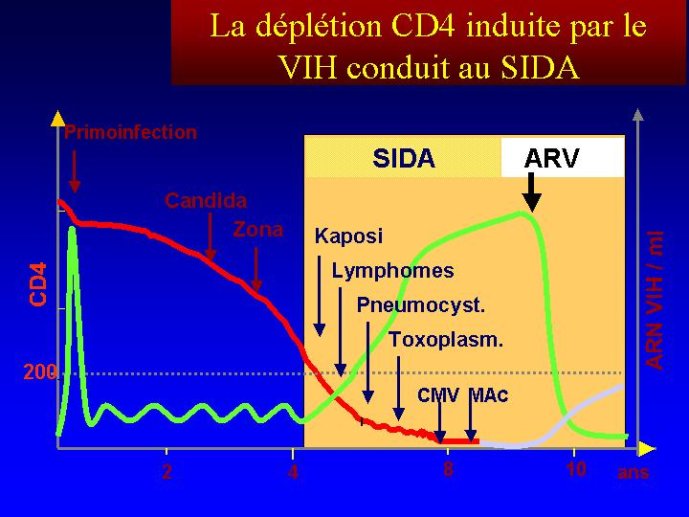 Diapositive11