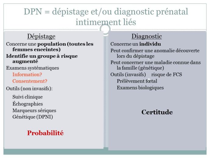 Diapositive9.JPG