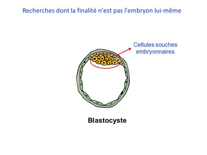 Diapositive6.JPG