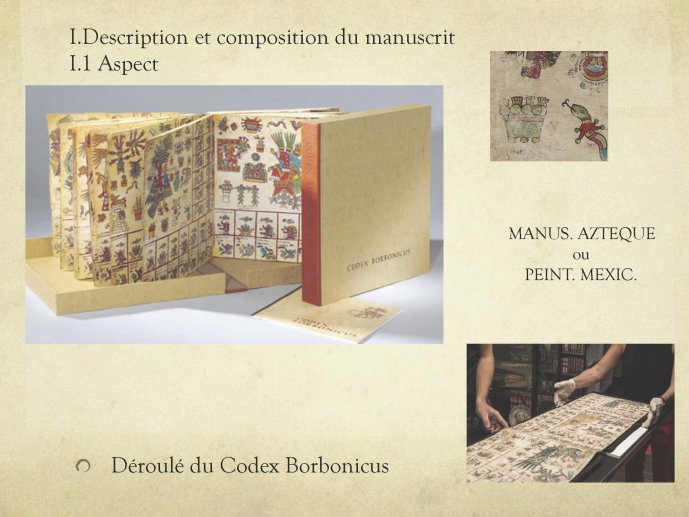 Ragot-Borbonicus2017-04.jpg