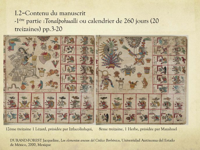 Ragot-Borbonicus2017-10.jpg