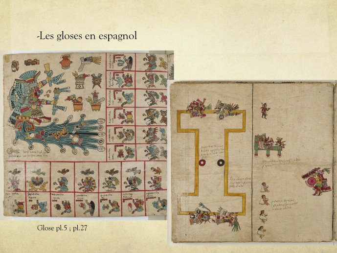 Ragot-Borbonicus2017-17.jpg