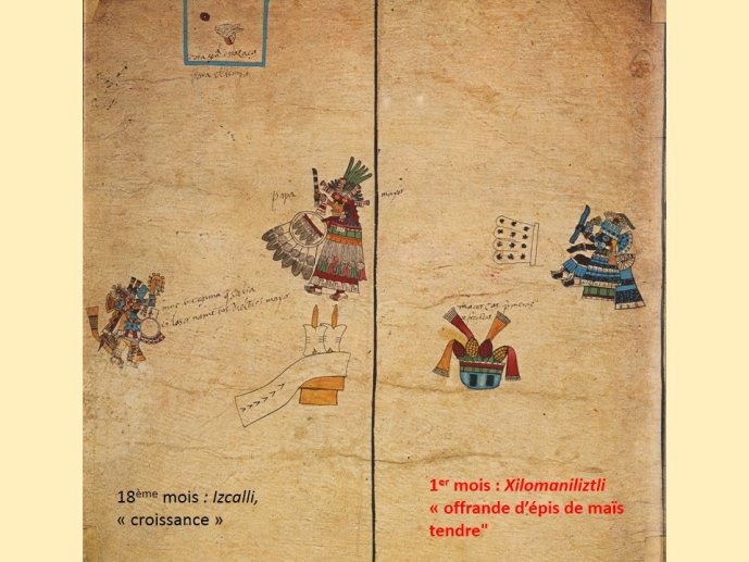 Contel-Borbonicus 2017-26.JPG