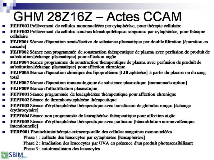 Diapositive4