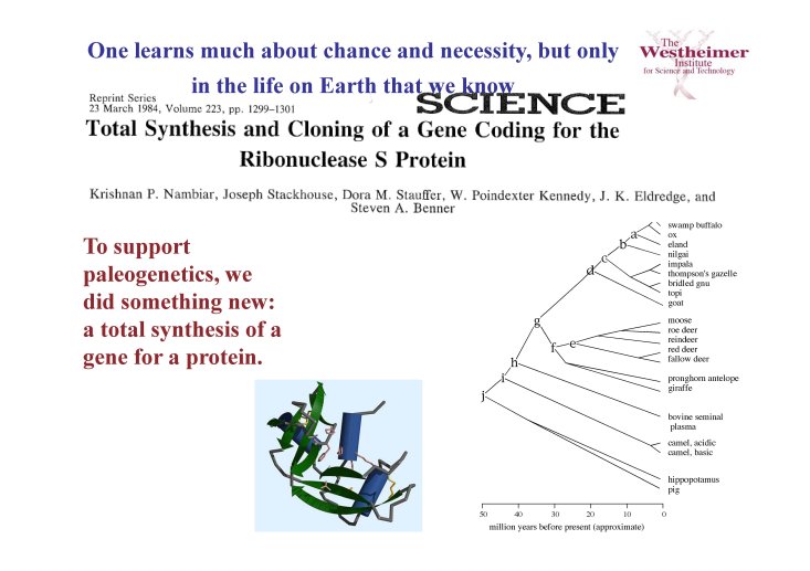 ppt_03_Steven%20BENNER_Page_06