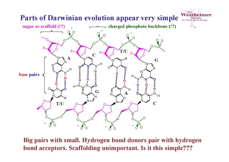 ppt_03_Steven%20BENNER_Page_11
