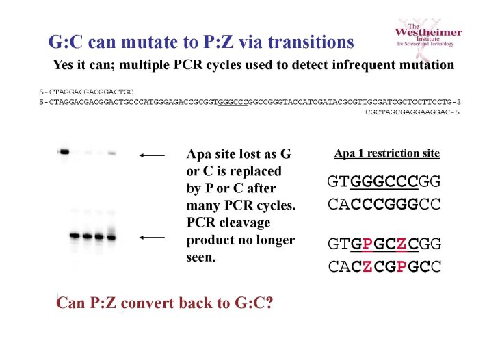 ppt_03_Steven%20BENNER_Page_27