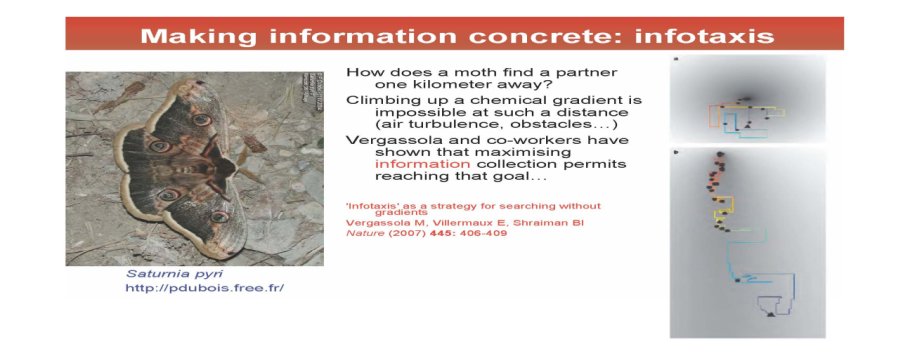 ppt_05_Antoine%20DANCHIN_Page_07