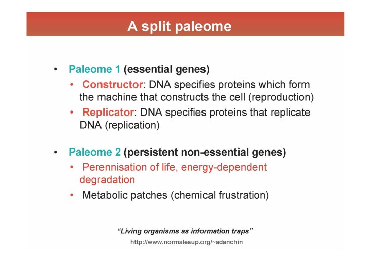 ppt_05_Antoine%20DANCHIN_Page_23
