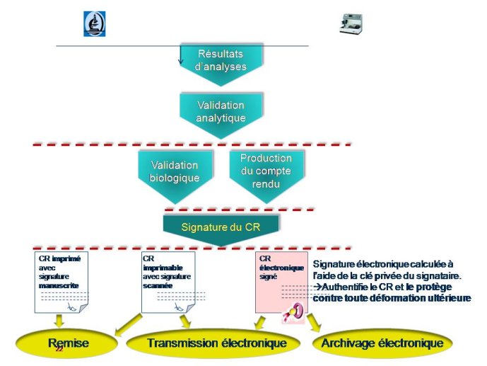 Diapositive22