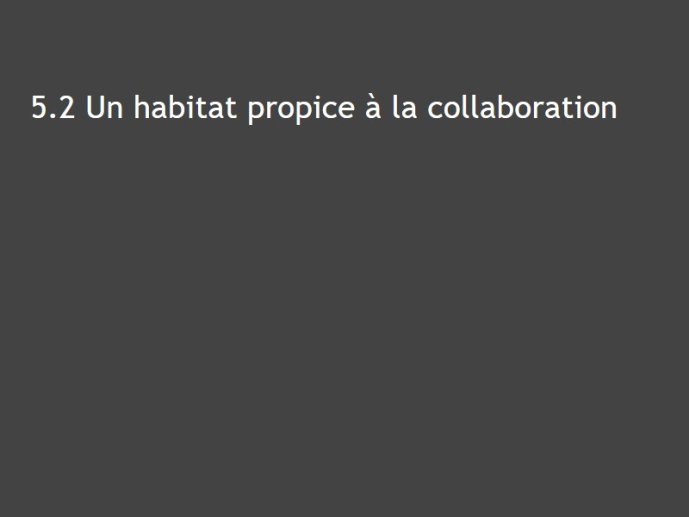 Marguin-Tlse-janvier 2018-66.JPG