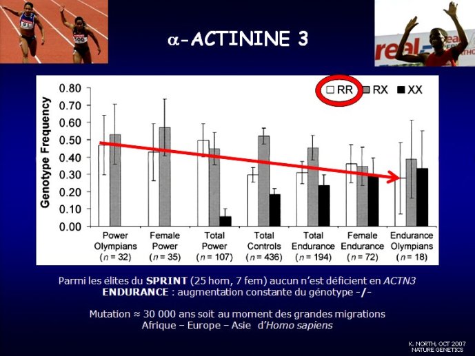 slide_0181_full