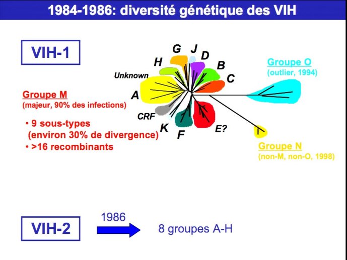 slide_0005_full