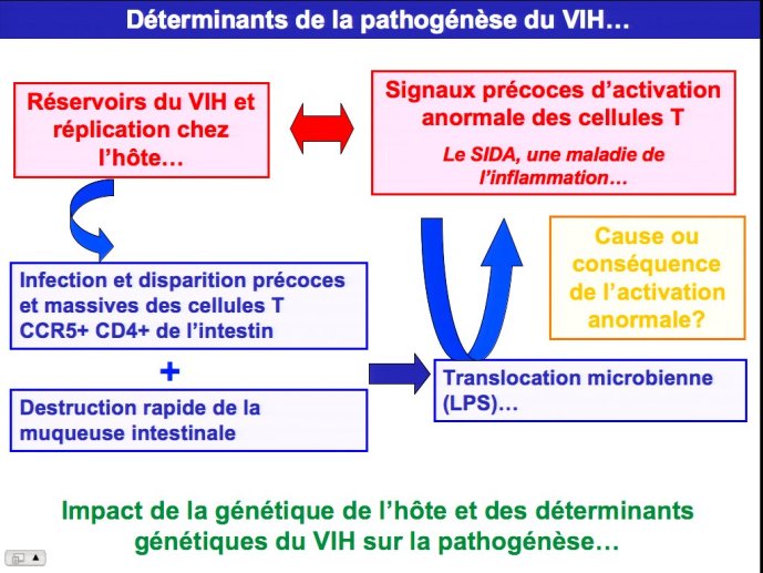 slide_0009_full