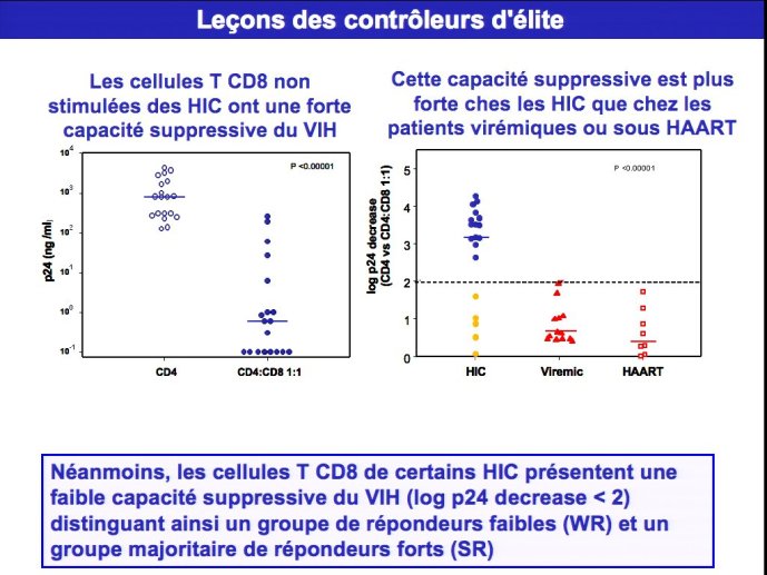 slide_0013_full