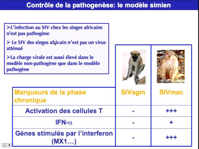 slide_0019_full