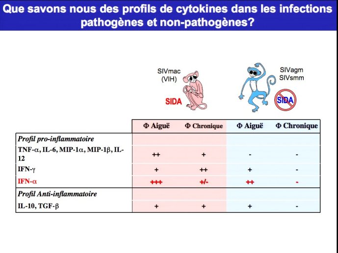 slide_0020_full