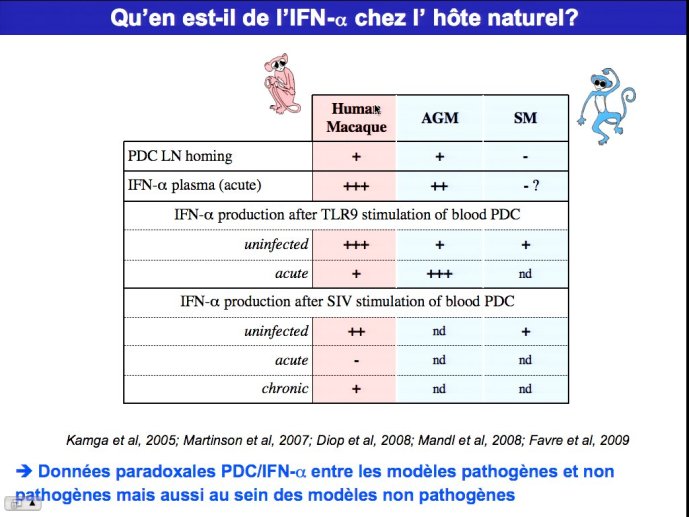 slide_0022_full