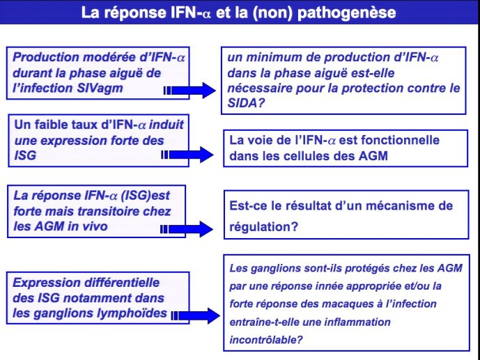 slide_0023_full