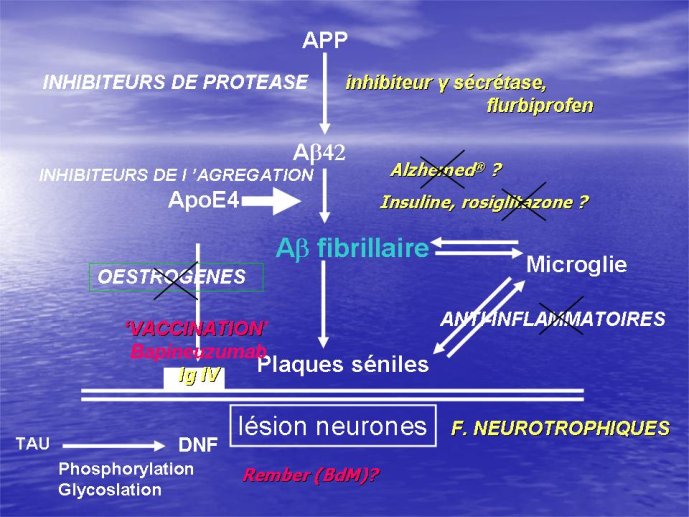 Diapositive48