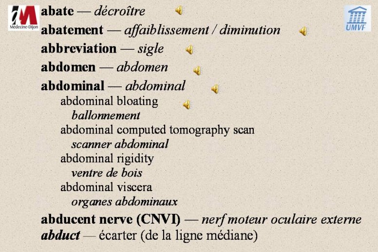 diapositive10