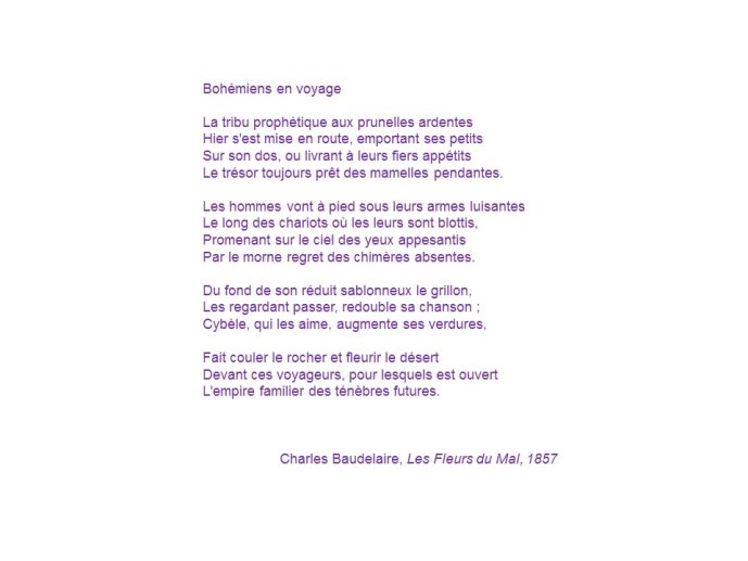 Carmen-Calvet-Liffraud-14.JPG