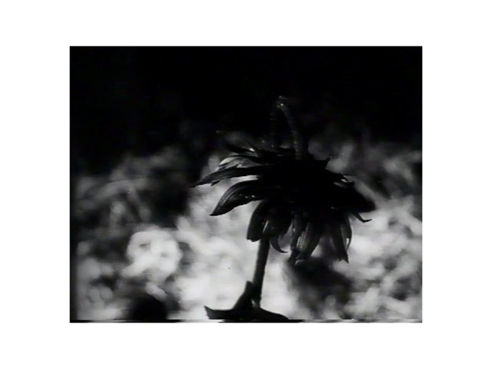 GrignardCinedesign2-15.JPG