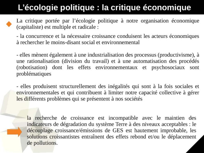 Semecol1-GCarbou-05.jpg