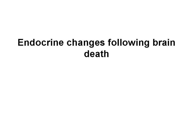 diapositive5