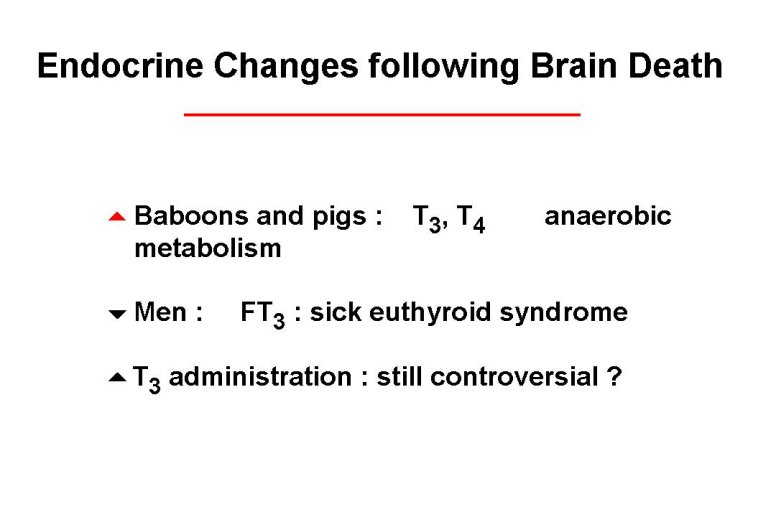 diapositive7