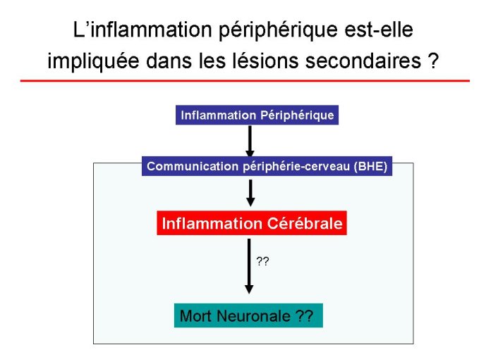 diapositive9