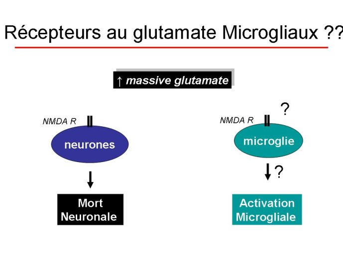 diapositive20