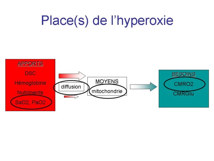 diapositive9