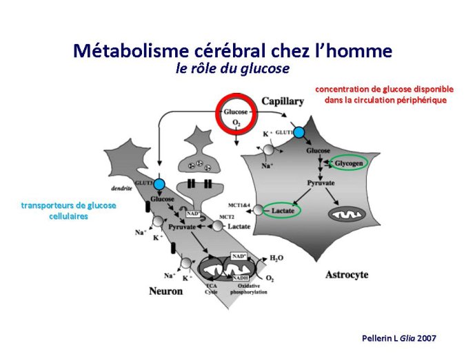 diapositive2