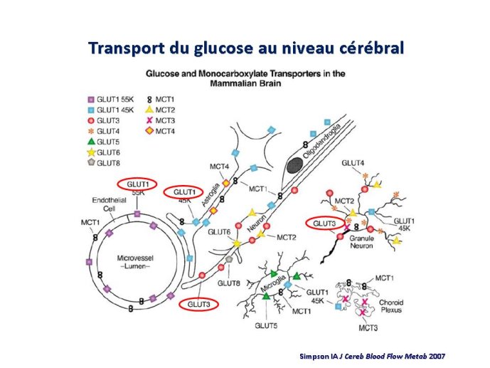 diapositive4