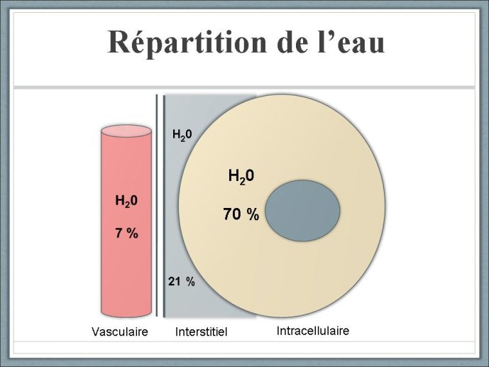 diapositive6