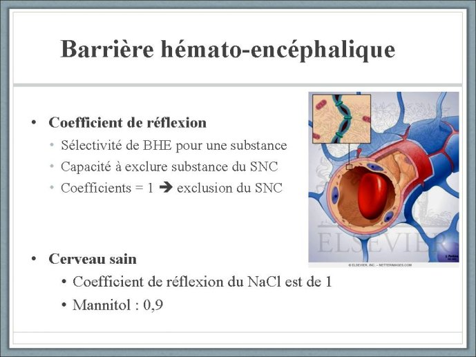 diapositive15