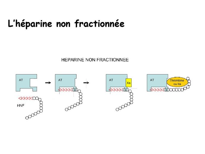 diapositive6