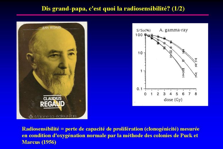 diapositive2